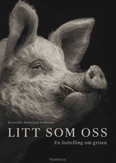 Litt som oss; en fortelling om grisen