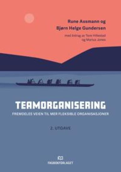 Teamorganisering