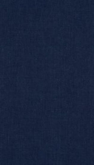 Carl Johan sett med samtidens øyne