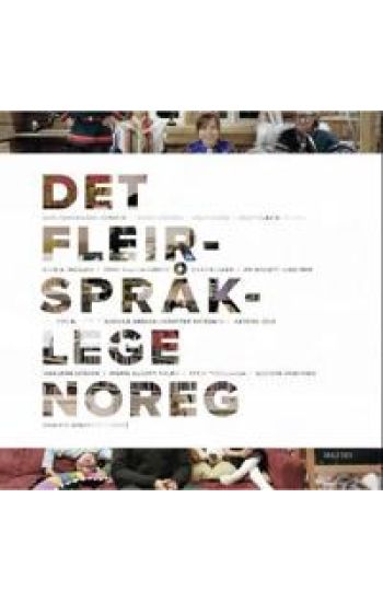 Det fleirspråklege Noreg