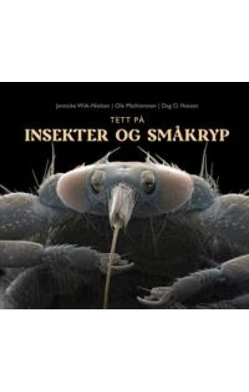Tett på insekter og småkryp