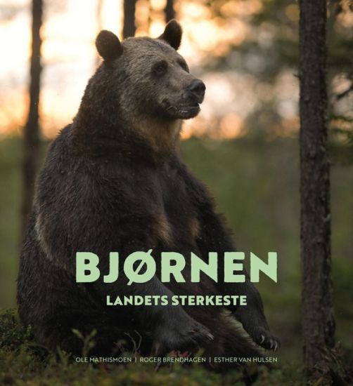 Bjørnen; landets sterkeste