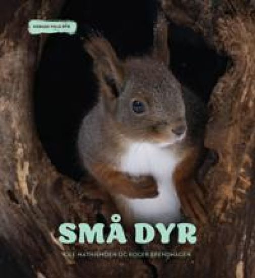 Små dyr