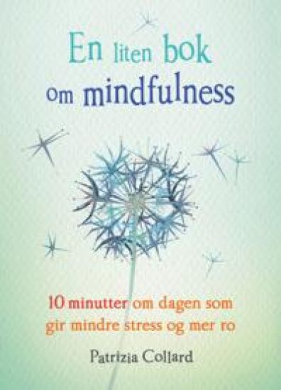 En liten bok om mindfulness