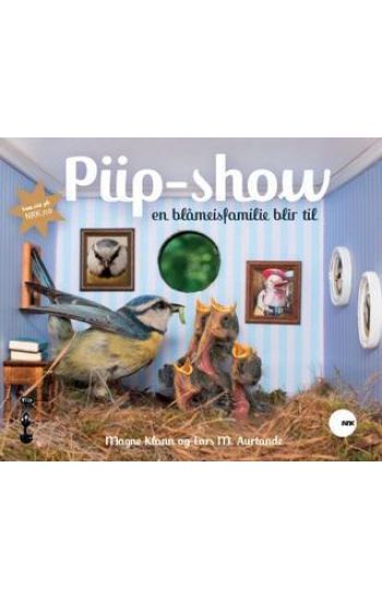 Piip-show; en blåmeisfamilie blir til