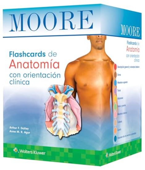 Moore. Flashcards de Anatomía con orientación clínica