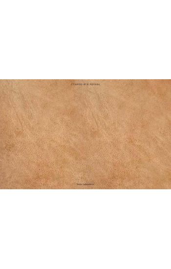 Jesús Labandeira: Cuando aún nevaba