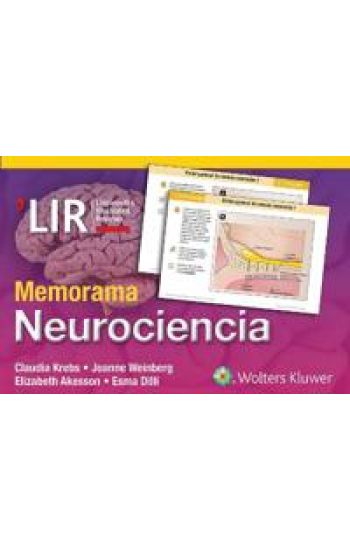 Memorama. Neurociencia