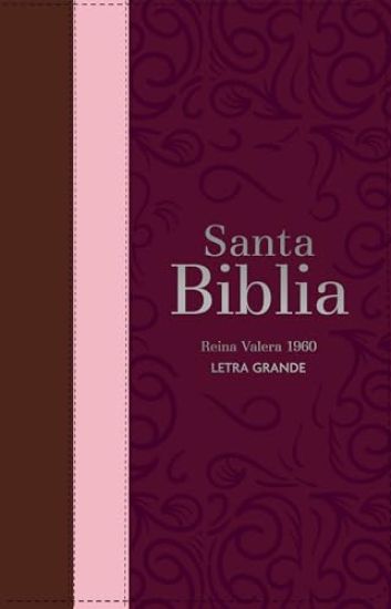 Biblia Rvr 1960 Letra Grande Tamaño Manual Tricolor Guinda Palo Rosa Marrón Con Cierre E Índice (Bible Rvr 1960 Large Print Handsize Leatherlike Trico