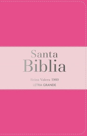 Biblia Rvr 1960 Letra Grande Tamaño Manual Tricolor Rosa Oscuro Rosa Claro Con Cierre E Índice (Bible Rvr 1960 Large Print Handsize Leatherlike Tricol