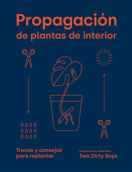 Propagación de Plantas de Interior: Trucos Y Consejos Para Replantar