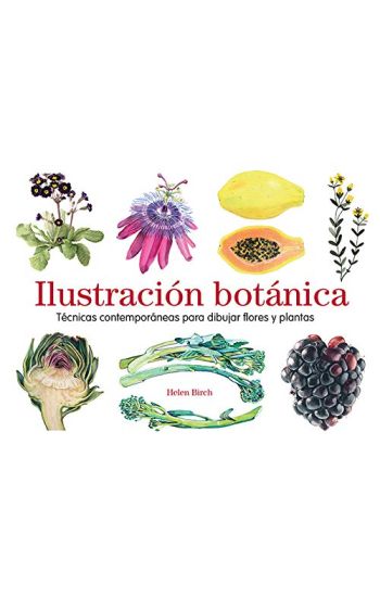 Ilustración Botánica: Técnicas Contemporáneas Para Dibujar Flores Y Plantas