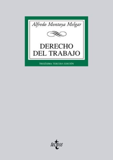 Montoya Melgar, A: Derecho del trabajo