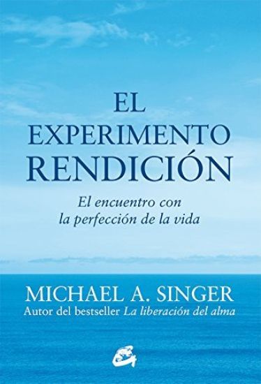 El Experimento Rendición: El Encuentro Con La Perfección de la Vida