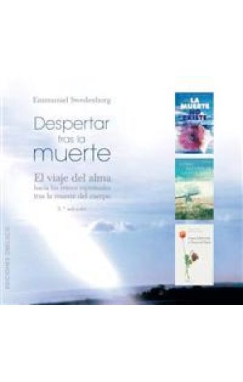 Despertar Tras La Muerte