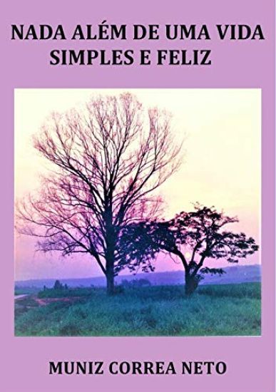 Consultoria Aplicada Às Pequenas Empresas