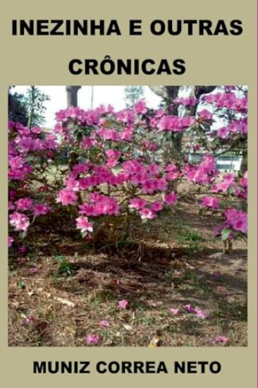 Inezinha E Outras Crônicas
