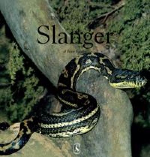 Slanger