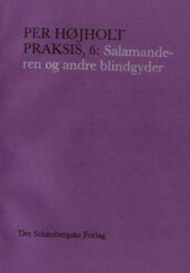 Praksis, 6: Salamanderen og andre blindgyder