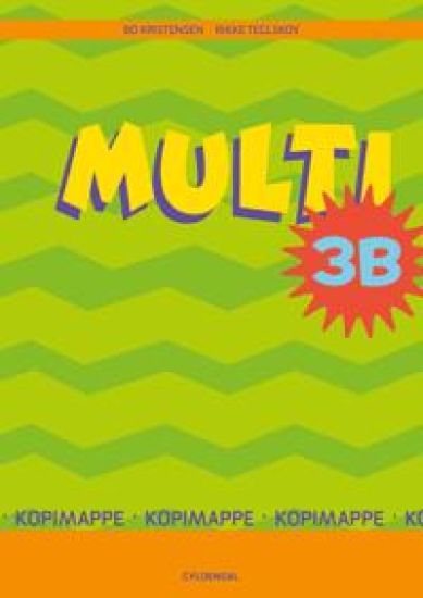 MULTI 3B