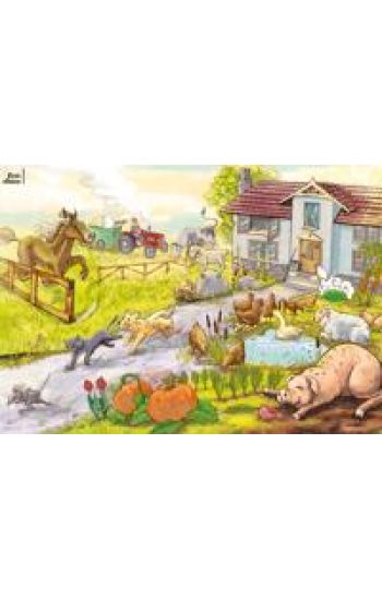 First Choice Beginners Posters A