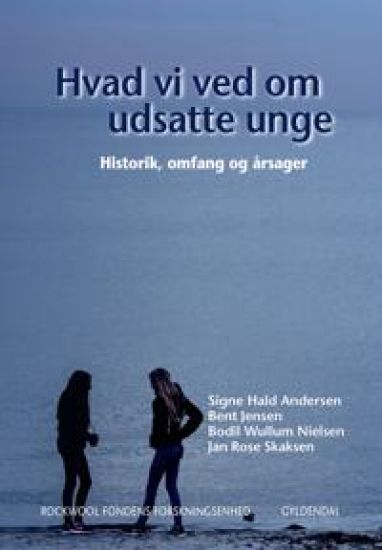 Hvad vi ved om udsatte unge 1