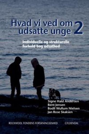 Hvad vi ved om udsatte unge 2
