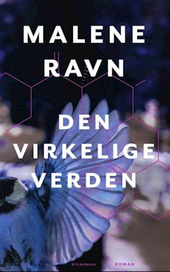 Den virkelige verden