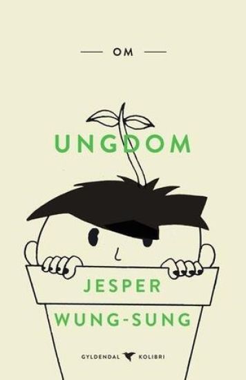 Om ungdom