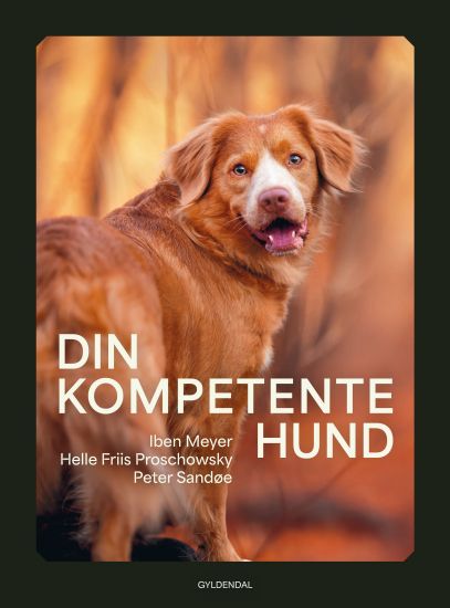 Din kompetente hund