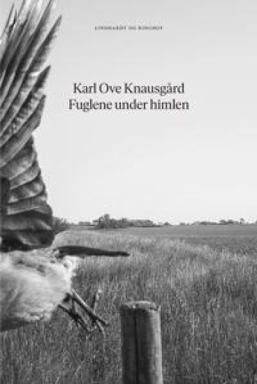 Kansikuva: Fuglene under himlen
