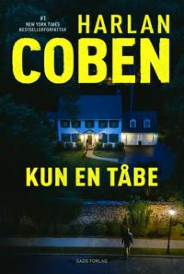 Kun en tåbe