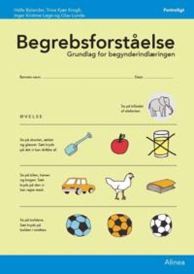 Begrebsforståelse, skema (10 stk)