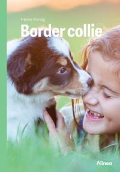 Border collie, Grøn Fagklub