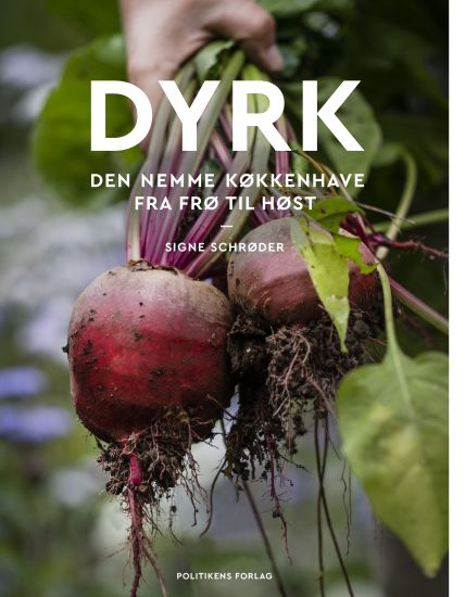 Dyrk