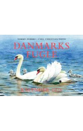 Kansikuva: Danmarks fugle - kalender 2026