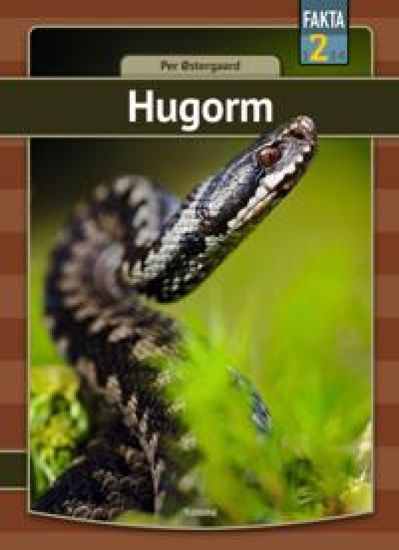 Hugorm