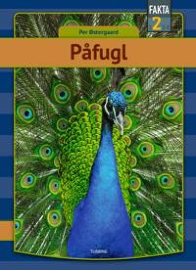 Påfugl