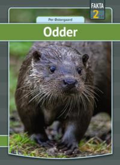 Odder