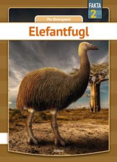 Elefantfugl
