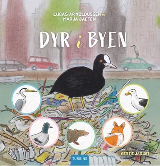 Dyr i byen