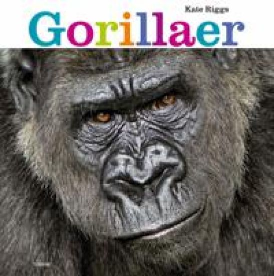 Gorillaer