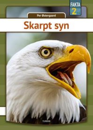 Skarpt syn