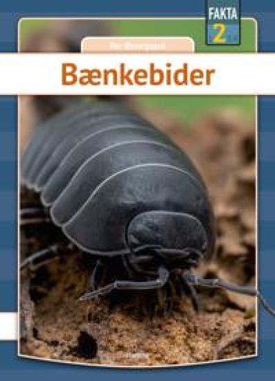 Bænkebider