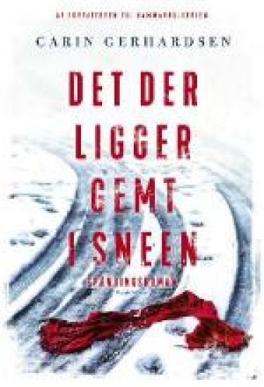 Det der ligger gemt i sneen