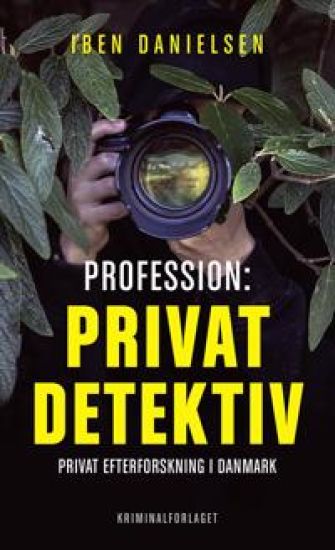 Profession: privatdetektiv