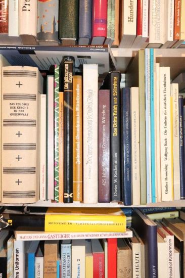 Cholera-Morbro´er og Danmark