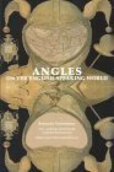 Romantic Generations -- Text, Authority & Posterity in British Romanticism