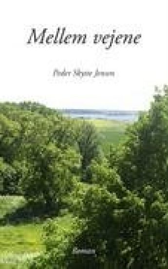 Mellem vejene