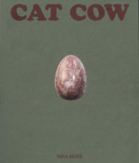 Virkelighedssans: Hannah Arendt om Kant og æstetik